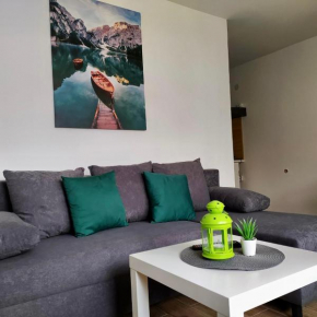 Apartmani Vlasina Sokobanja